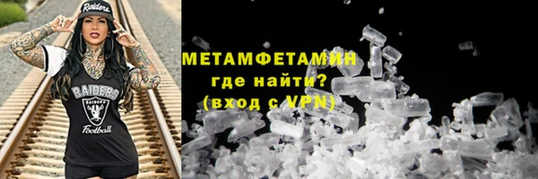 сатива Новодвинск