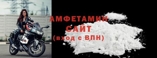 сатива Новодвинск