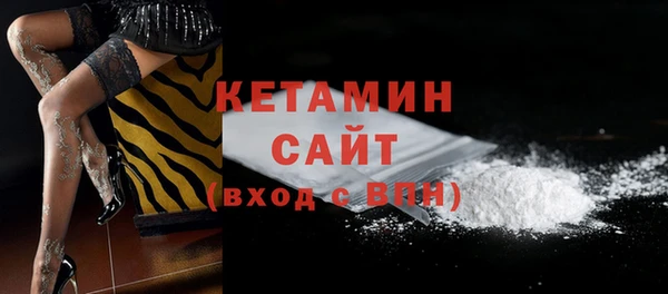 сатива Новодвинск