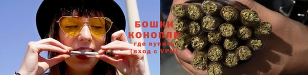сатива Новодвинск