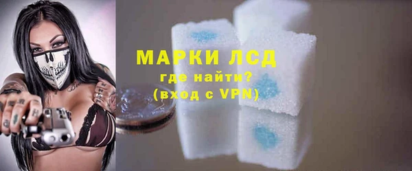 сатива Новодвинск