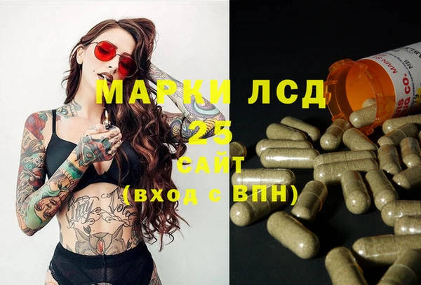 сатива Новодвинск