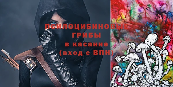 сатива Новодвинск