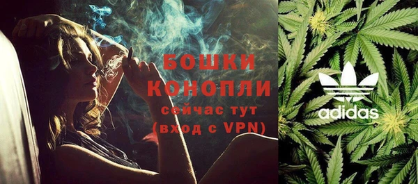 сатива Новодвинск