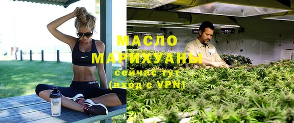сатива Новодвинск