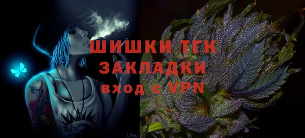 сатива Новодвинск
