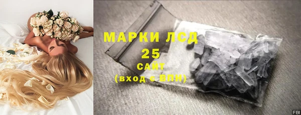сатива Новодвинск
