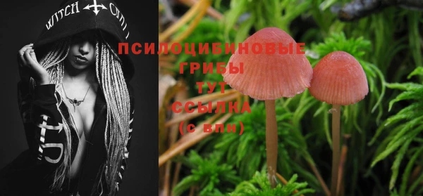 альфа пвп Новозыбков