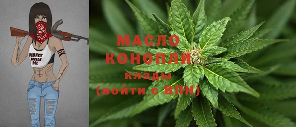 сатива Новодвинск